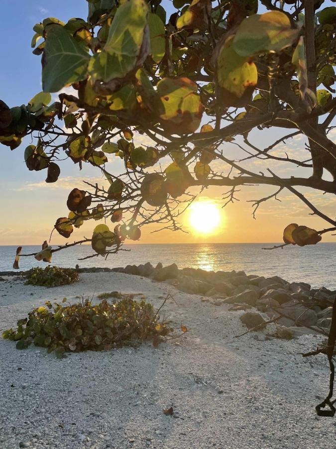 Appartamento El Mundo Soleado Santa Pola Esterno foto