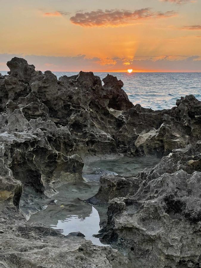 Appartamento El Mundo Soleado Santa Pola Esterno foto